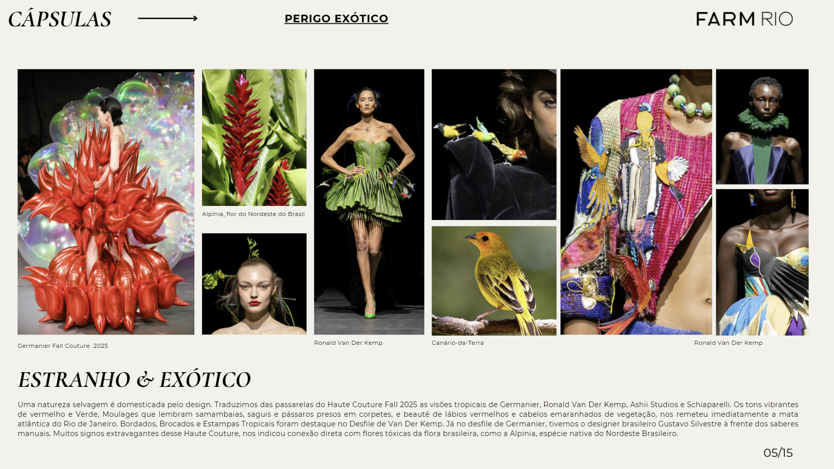 (2025) TREND REPORT / FARM RIO